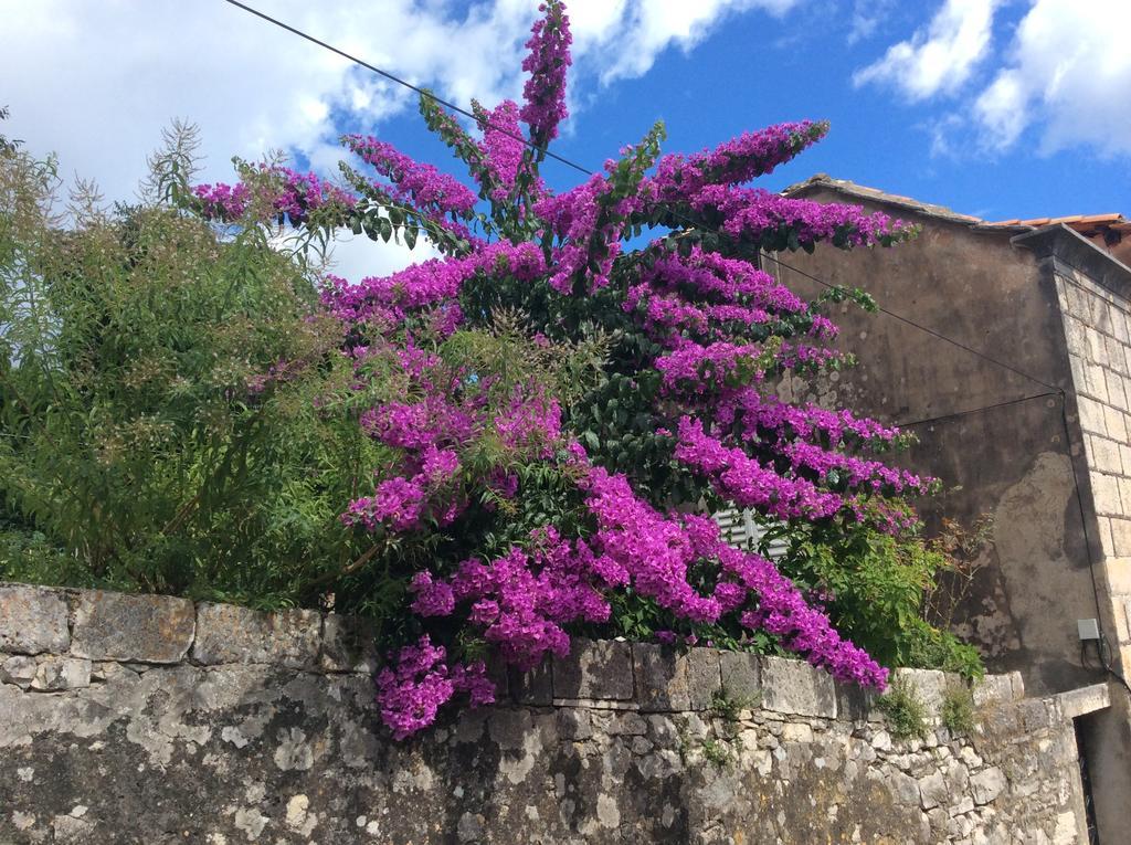 Lux Apartments Korčula Cameră foto