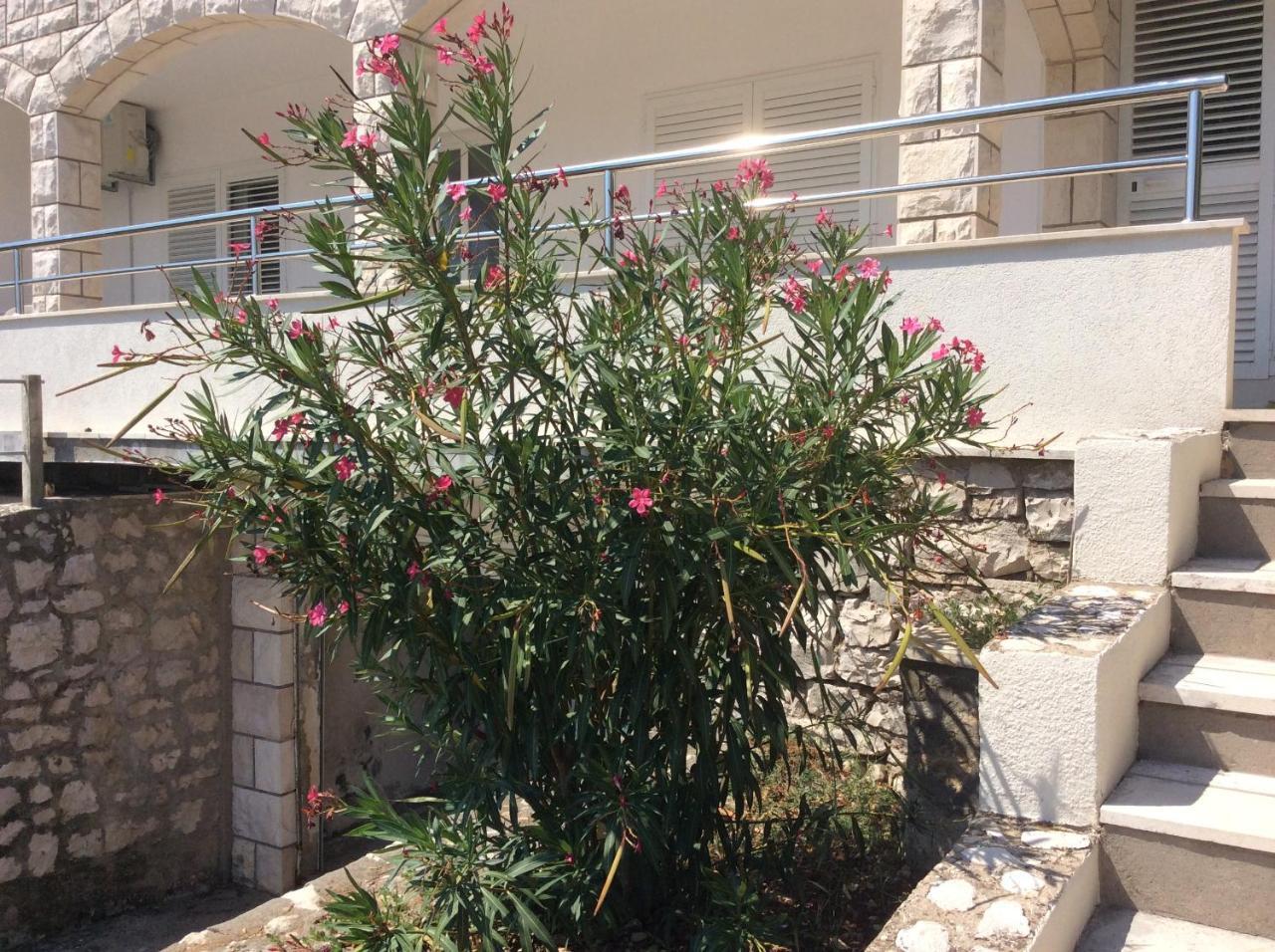 Lux Apartments Korčula Exterior foto